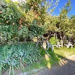 Апартаменты Casa Da Risca