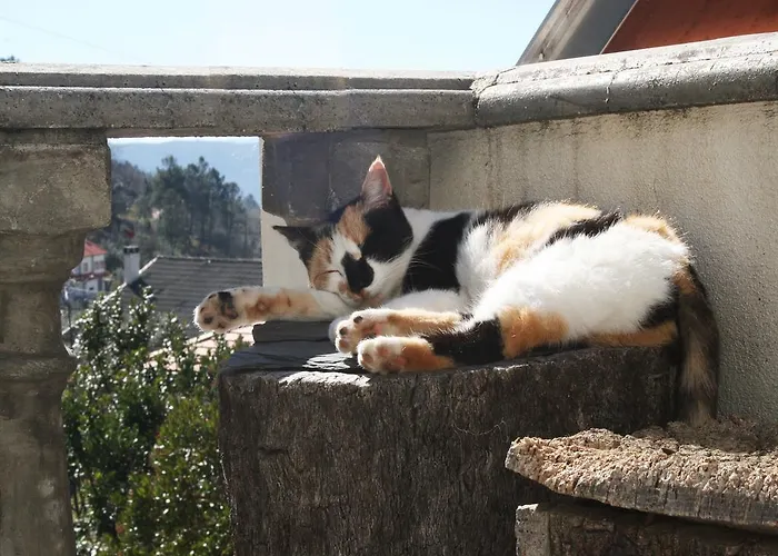 Casa Da Risca דירה אונהייס דה סרה